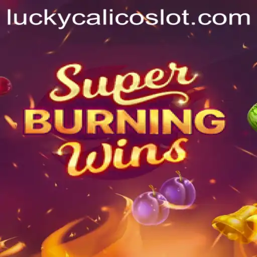 Exploring the Thrills of SuperBurningWins and LuckyCalico